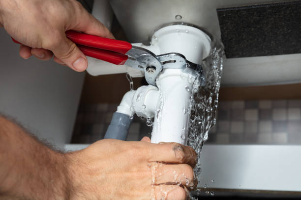 Best Flood damage cleanup  in Kenosha, WI