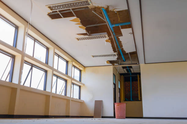 Best Water damage cleanup near me  in Kenosha, WI