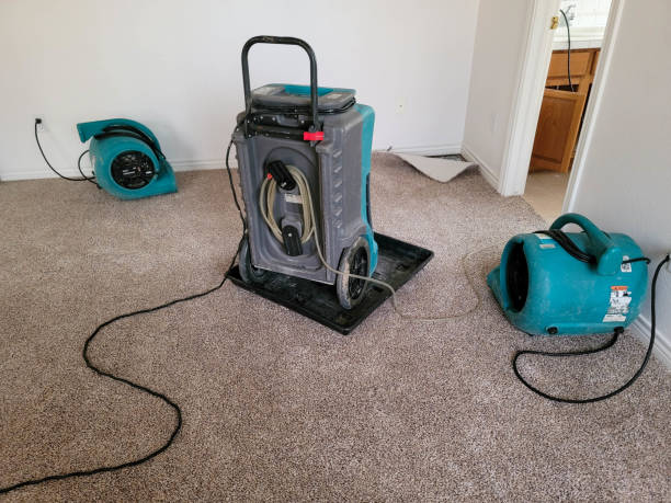 Best 24/7 water damage repair  in Kenosha, WI