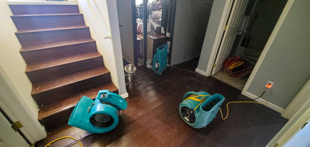 Best 24-hour water damage restoration  in Kenosha, WI