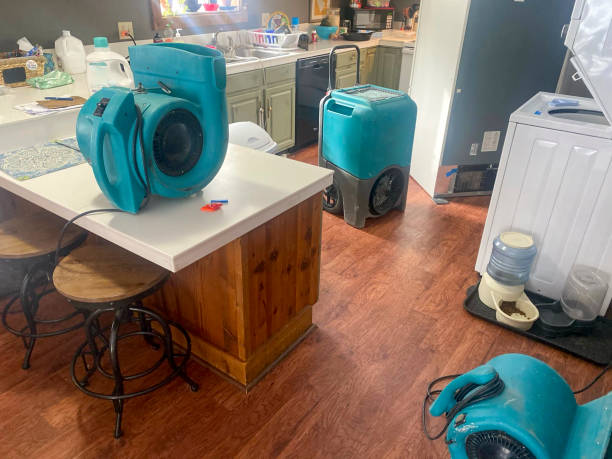 Best Sewage cleanup and water damage restoration  in Kenosha, WI