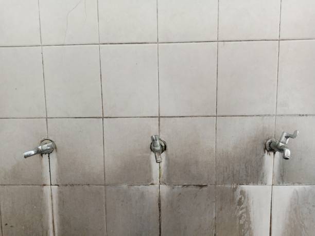 Best Water damage restoration near me  in Kenosha, WI