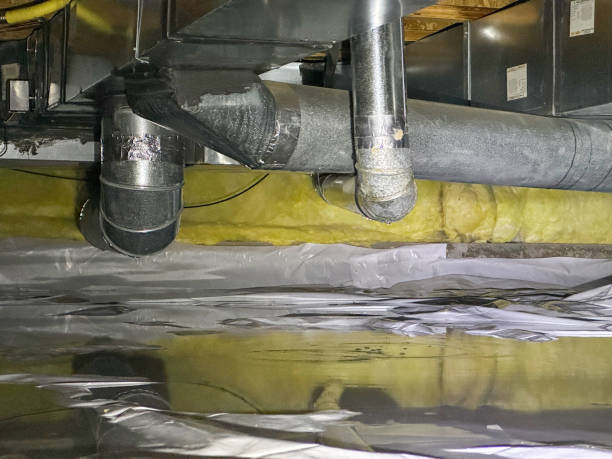 Best Ceiling water damage repair  in Kenosha, WI