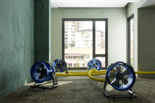 Best Commercial water damage restoration  in Kenosha, WI